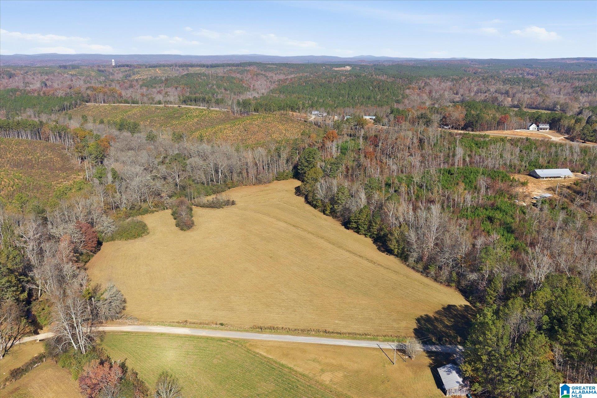0 County Road 84 Heflin, AL 36264 - Photo 2 of 20