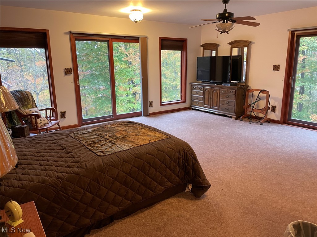 74068 Lake Ridge Road Piedmont, OH 43983 - Photo 19 of 45 Bedroom featuring ceiling fan and light colored carpet