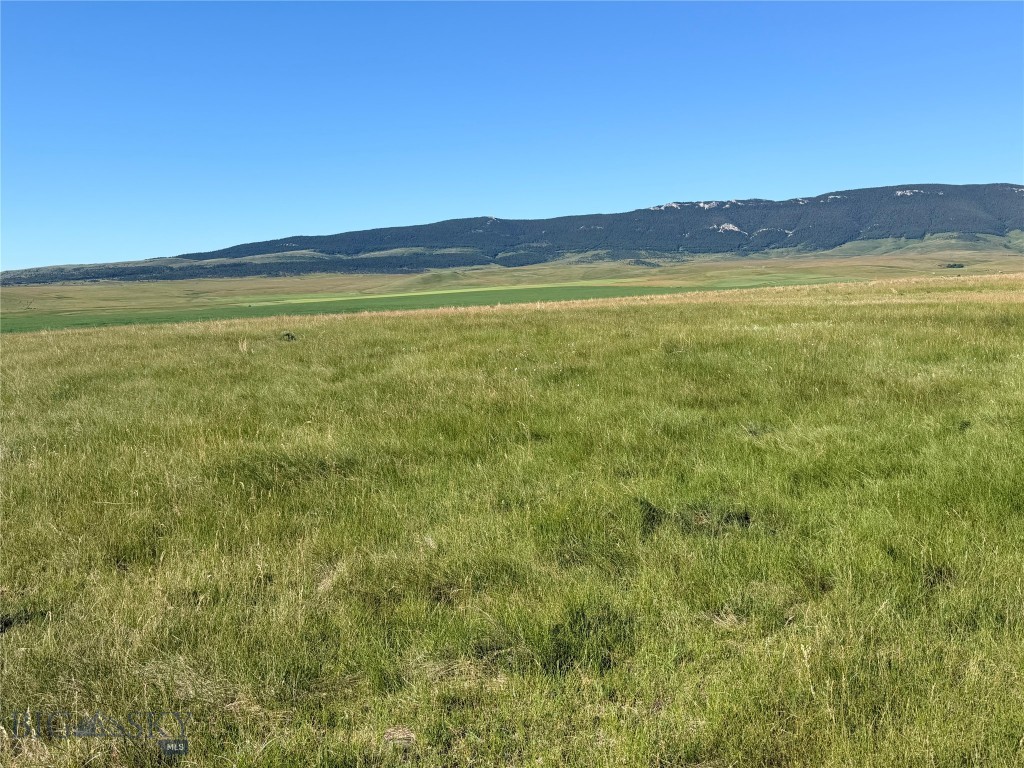 Tbd U Bet Road Buffalo, MT 59418 - Photo 21 of 30 Gallery Image 21