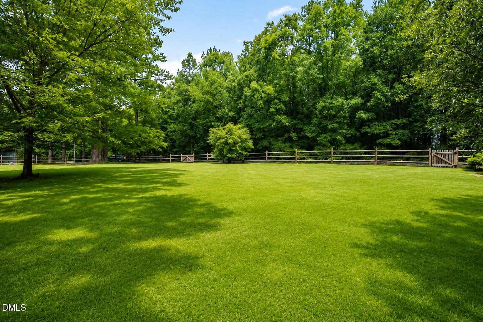 382 Greys Mill Road Louisburg, NC 27549 - Photo 6 of 29 g29