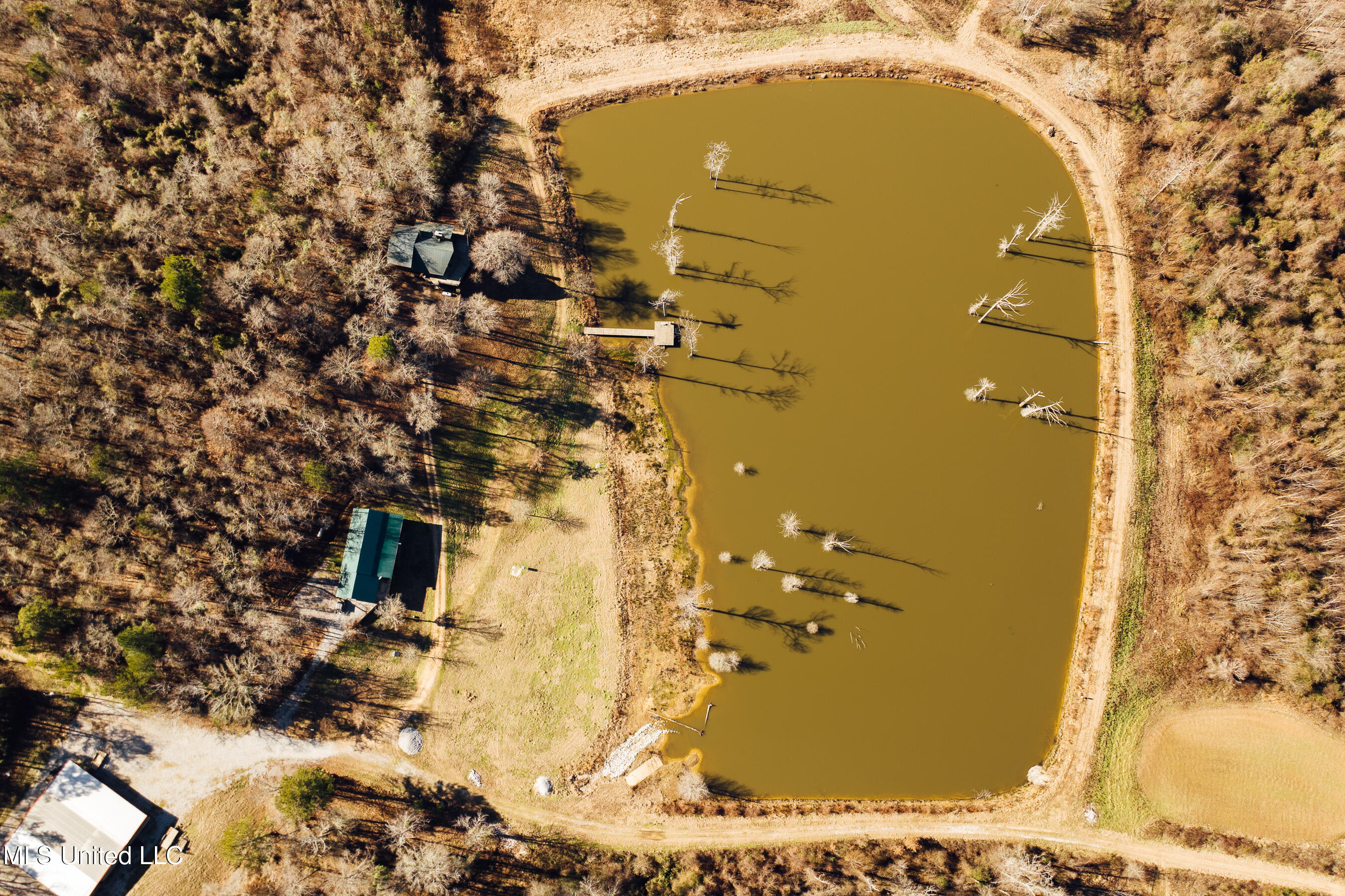 4101 Co Road Sallis, MS 39160 - Photo 11 of 50 land 6