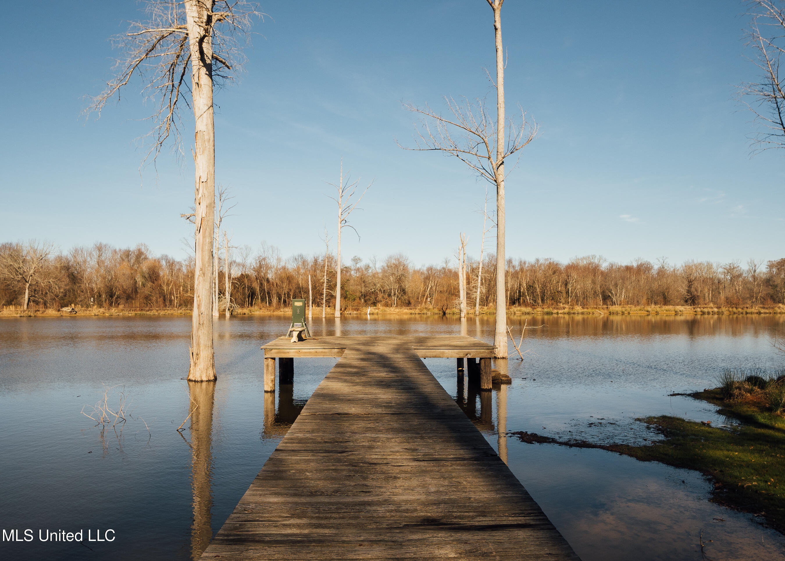 4101 Co Road Sallis, MS 39160 - Photo 12 of 50 land 7