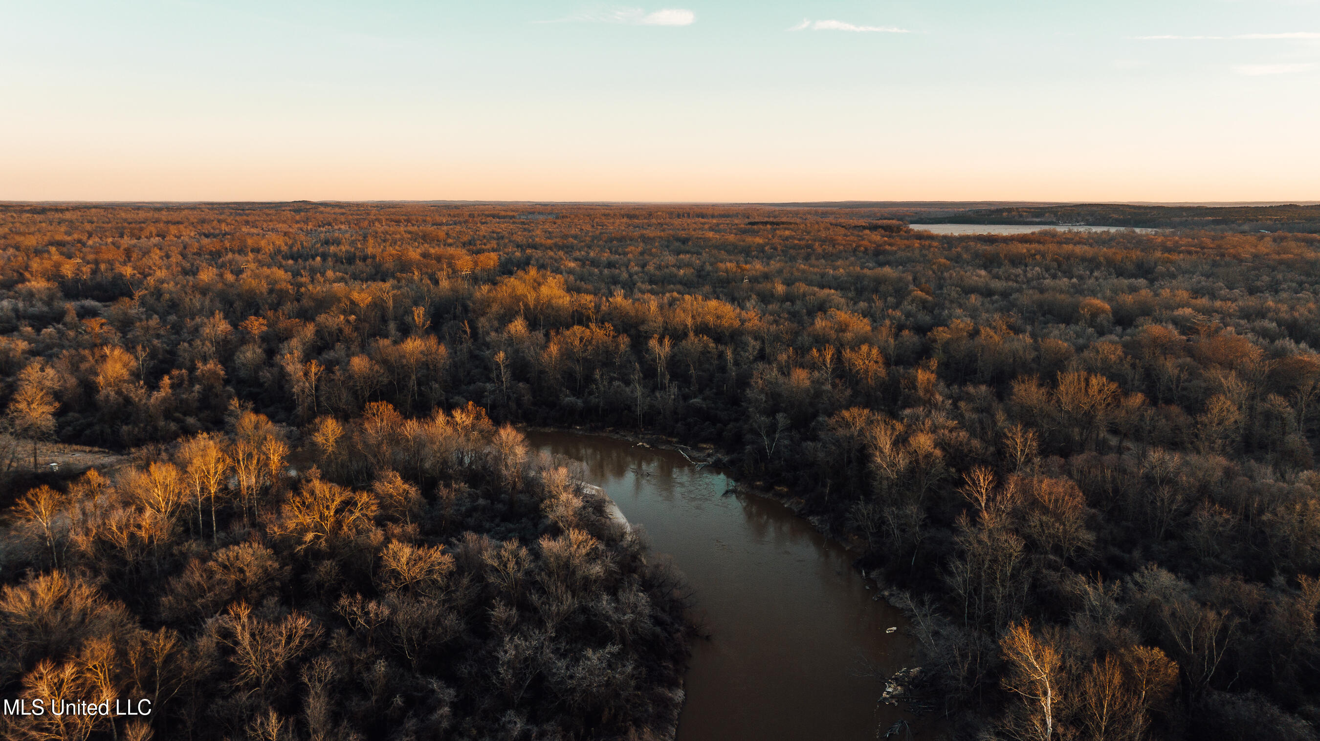 4101 Co Road Sallis, MS 39160 - Photo 14 of 50 land 2