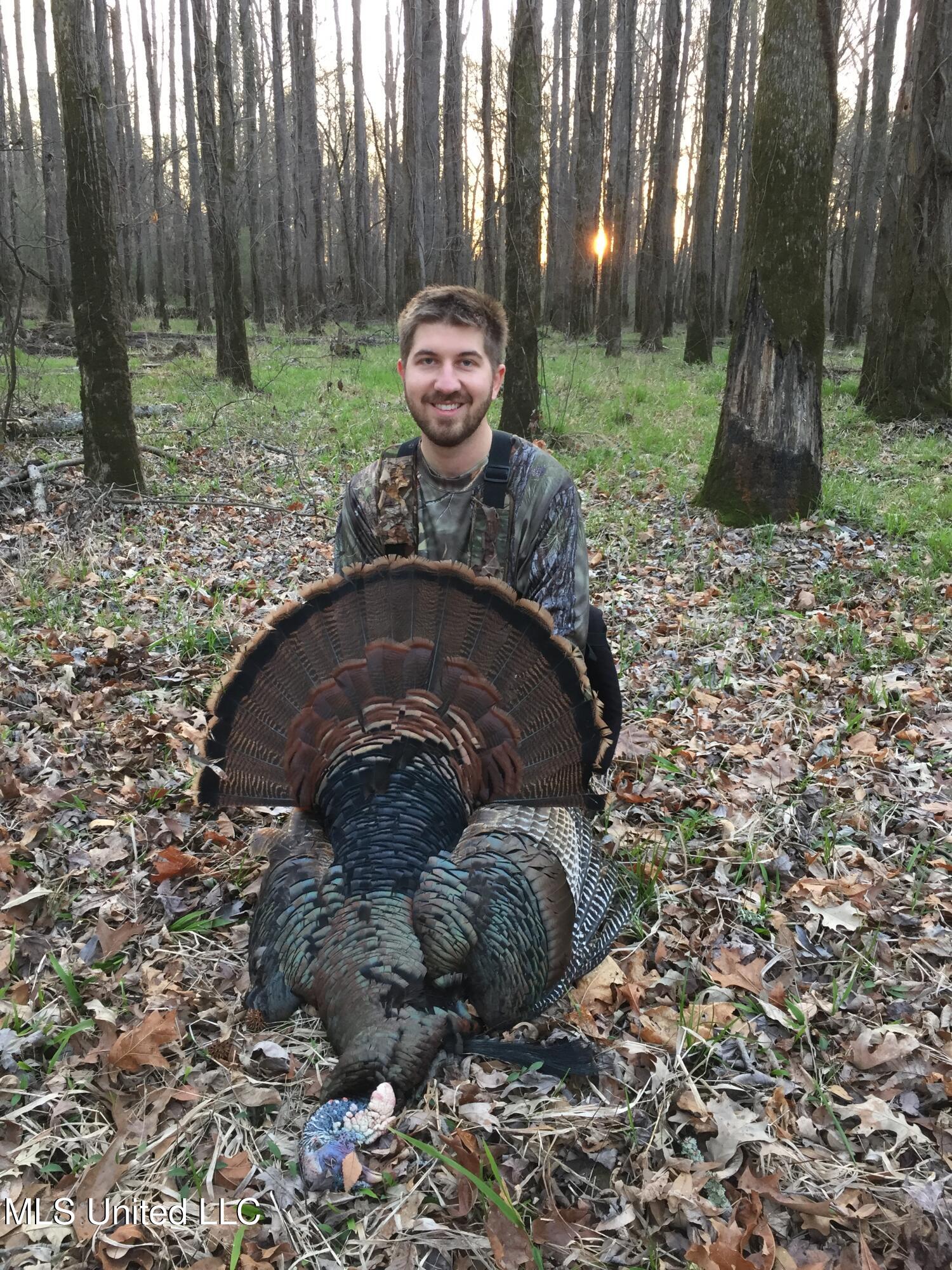 4101 Co Road Sallis, MS 39160 - Photo 30 of 50 Turkey 1