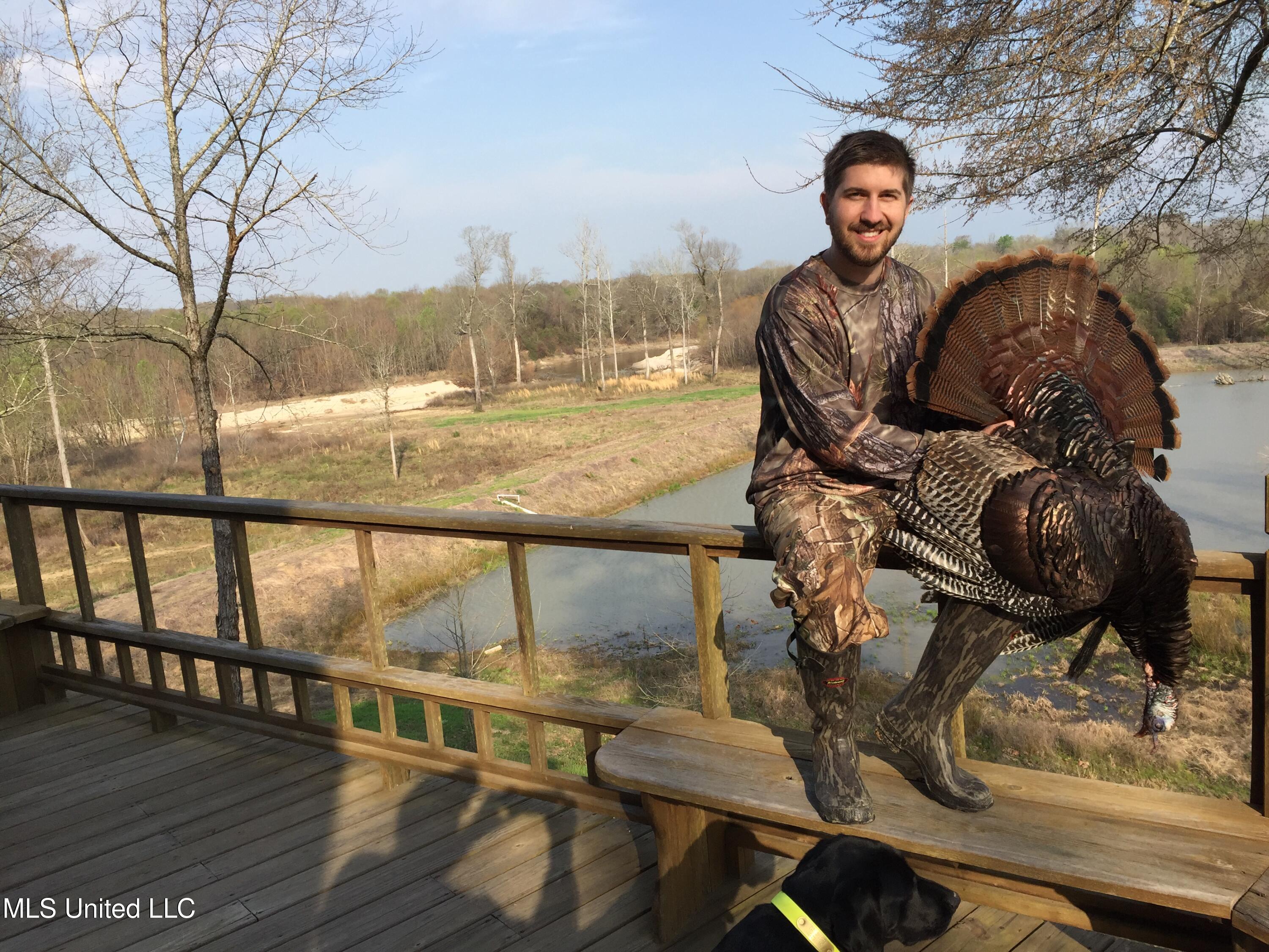 4101 Co Road Sallis, MS 39160 - Photo 31 of 50 Turkey 2