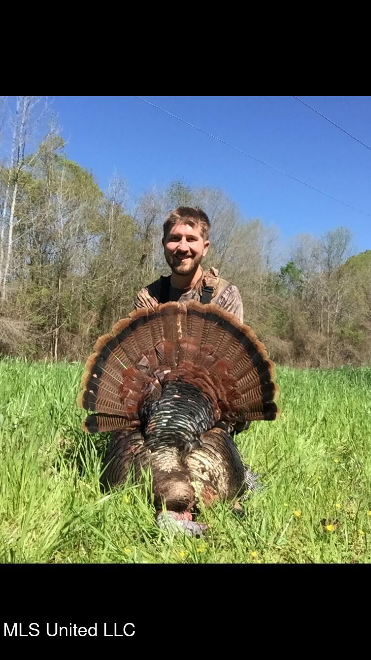 4101 Co Road Sallis, MS 39160 - Photo 32 of 50 Turkey 3