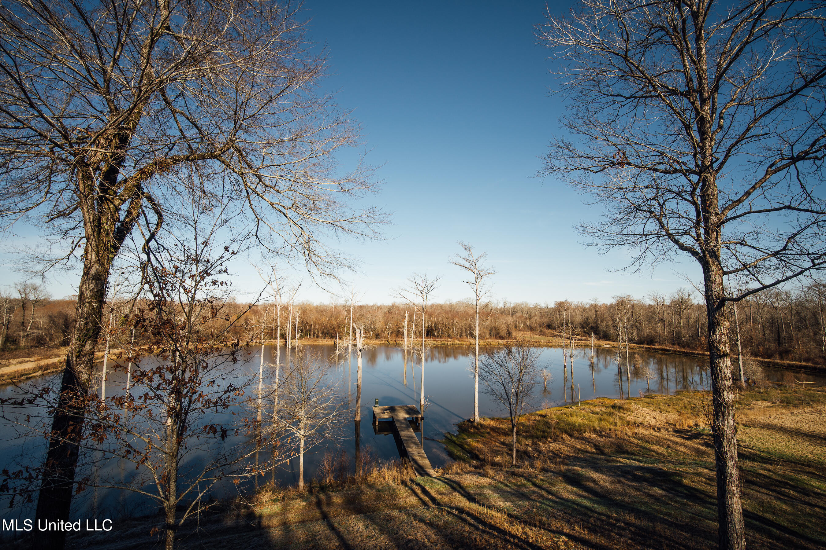 4101 Co Road Sallis, MS 39160 - Photo 34 of 50 cypress run pics -50
