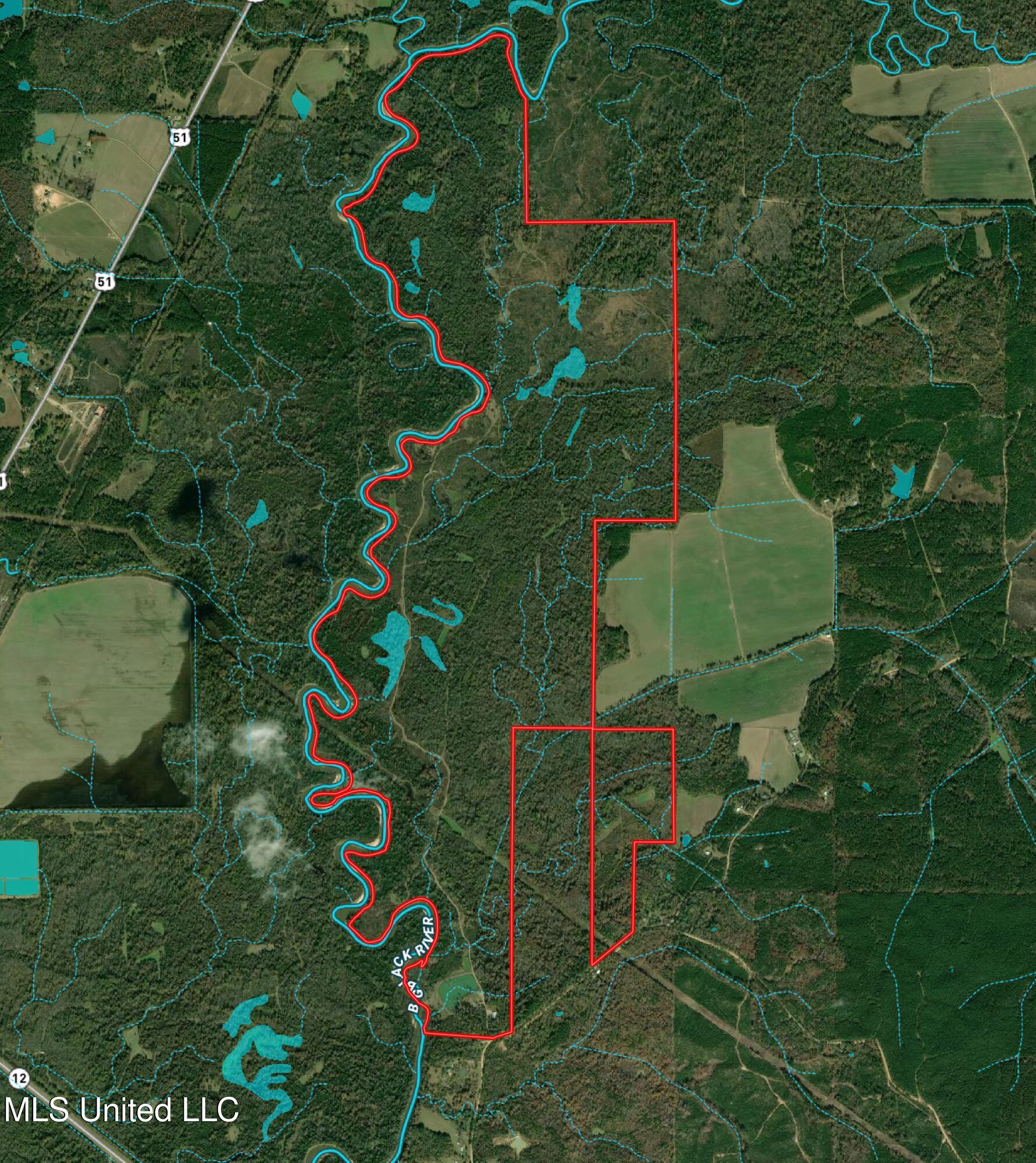 4101 Co Road Sallis, MS 39160 - Photo 47 of 50 Aerial