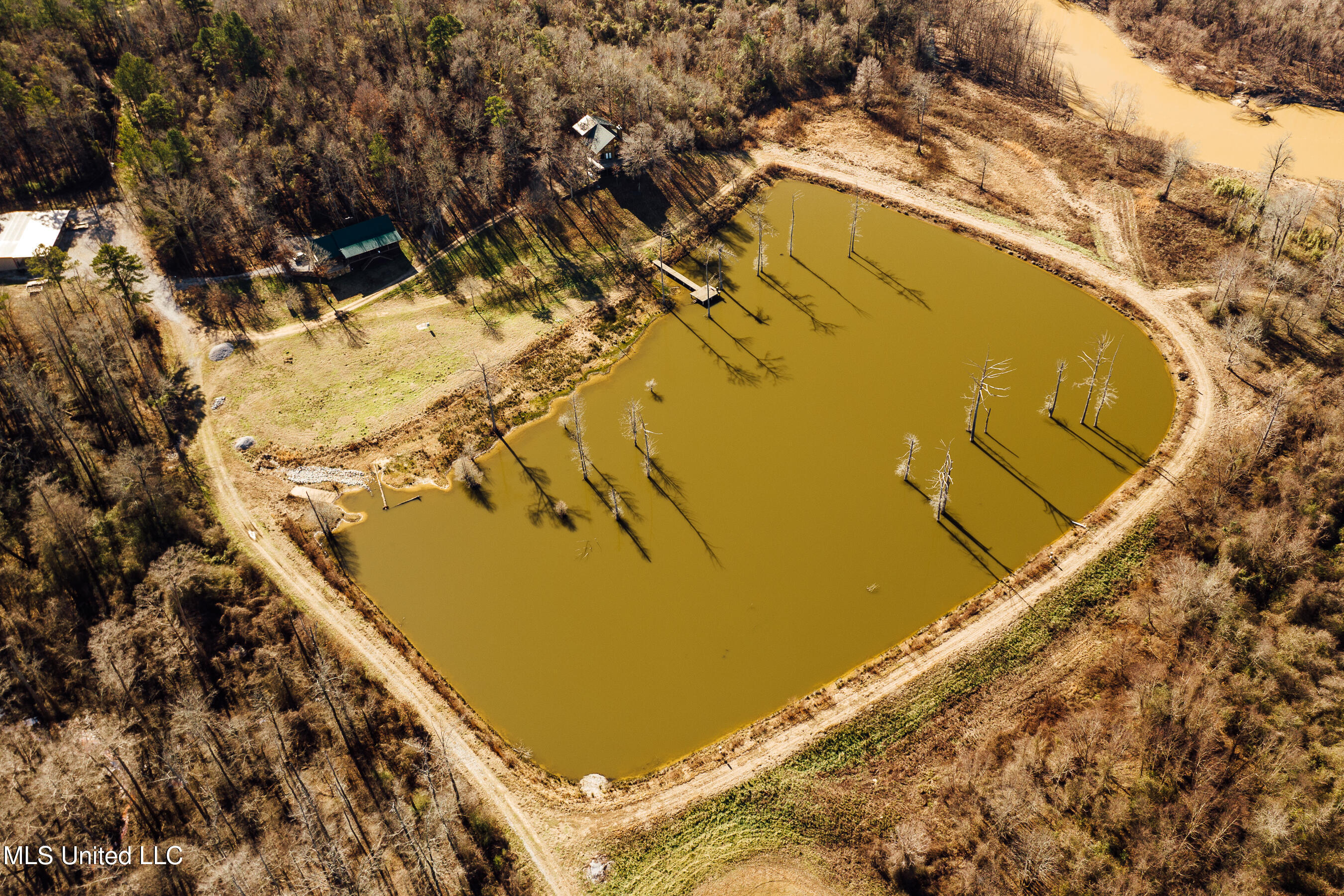 4101 Co Road Sallis, MS 39160 - Photo 10 of 50 land 5
