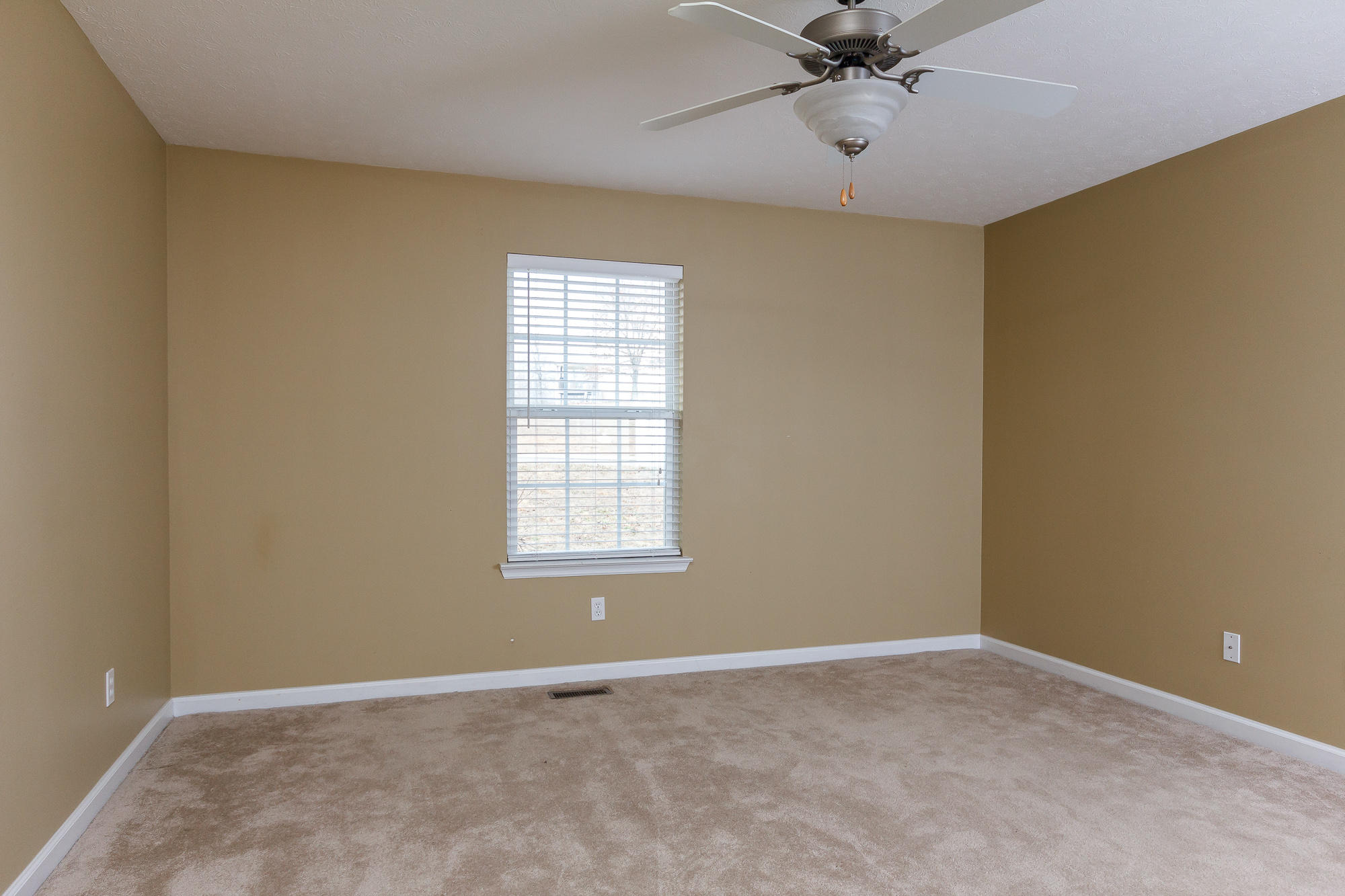 267 Spring Wind Circle Ringgold, GA 30736 - Photo 14 of 37 Master Bedroom
