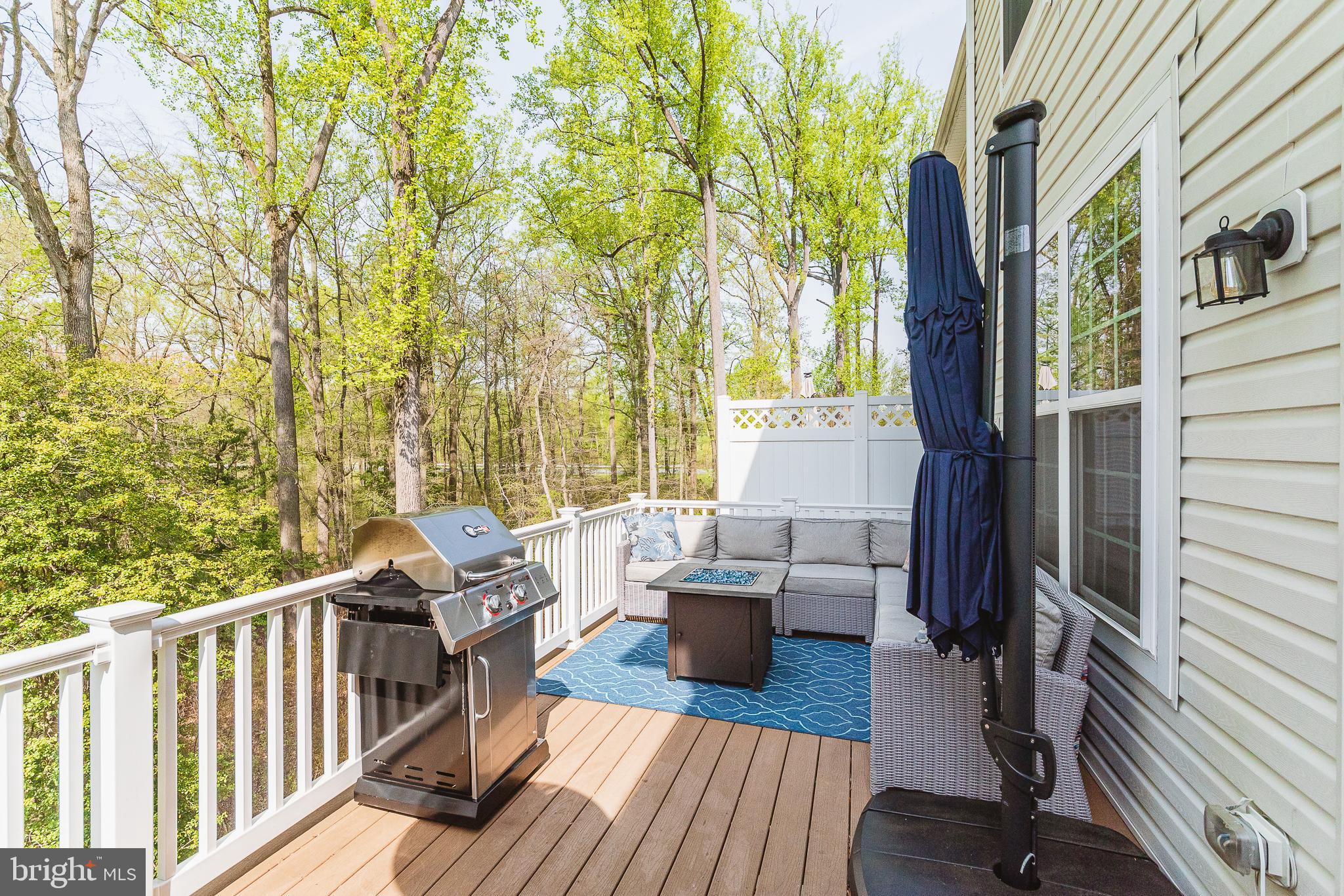 1010 Ramble Run Road Baltimore, MD 21220 - Photo 40 of 46 Maintenance-Free Deck