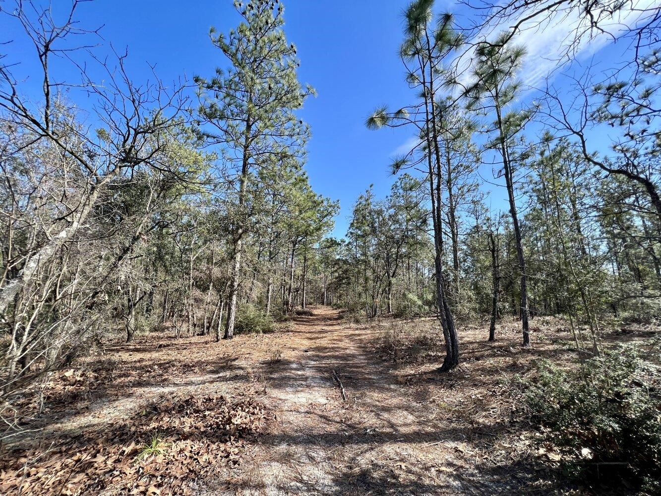 0 Dixon Road Bay Minette, AL 36507 - Photo 43 of 50