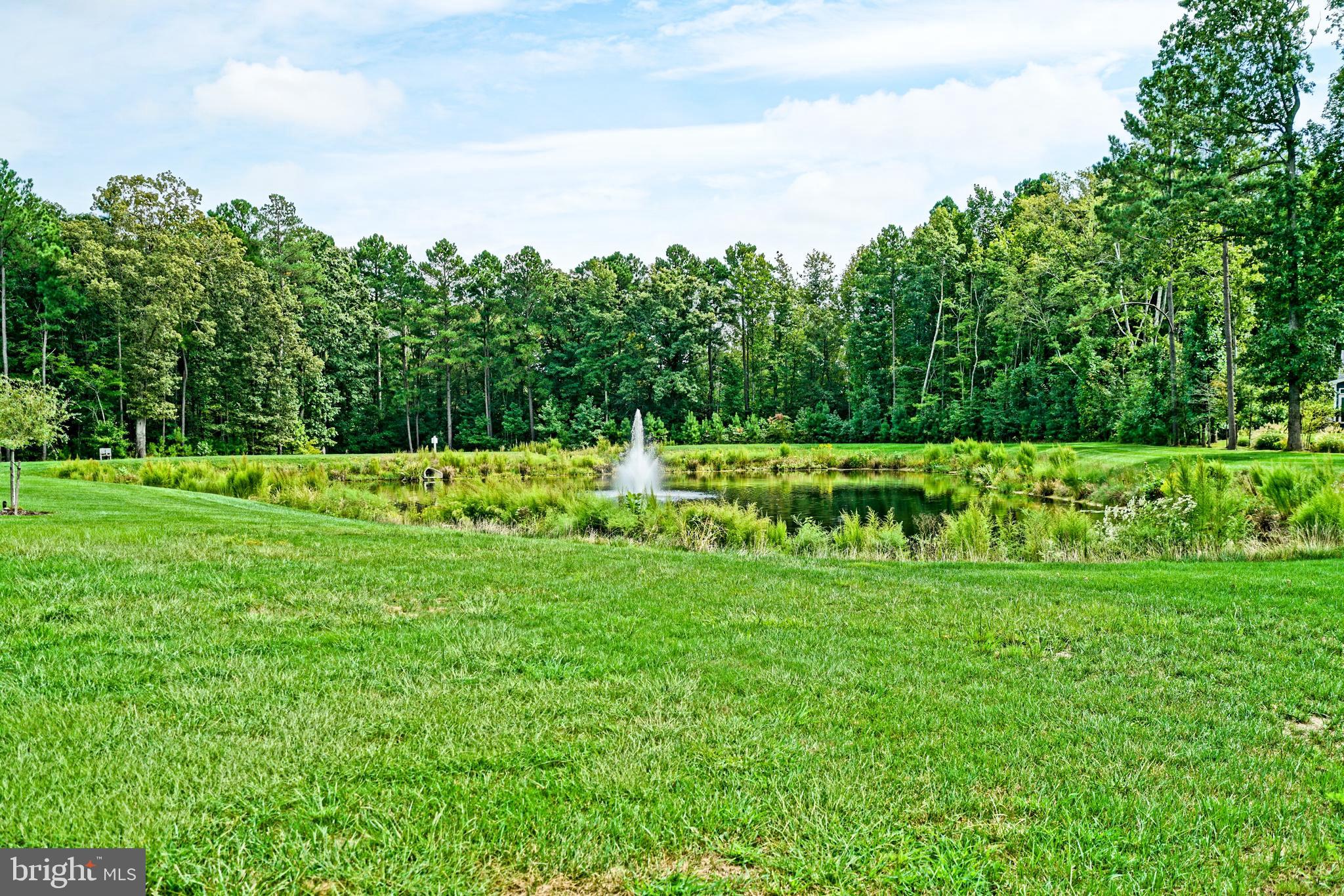 37088 Sheepscot Road Lewes, DE 19958 - Photo 61 of 74 Gallery Image 61