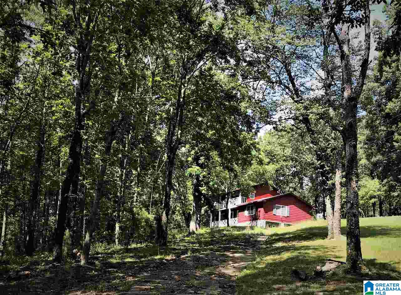 397 County Road 104 Montevallo, AL 35115 - Photo 2 of 18