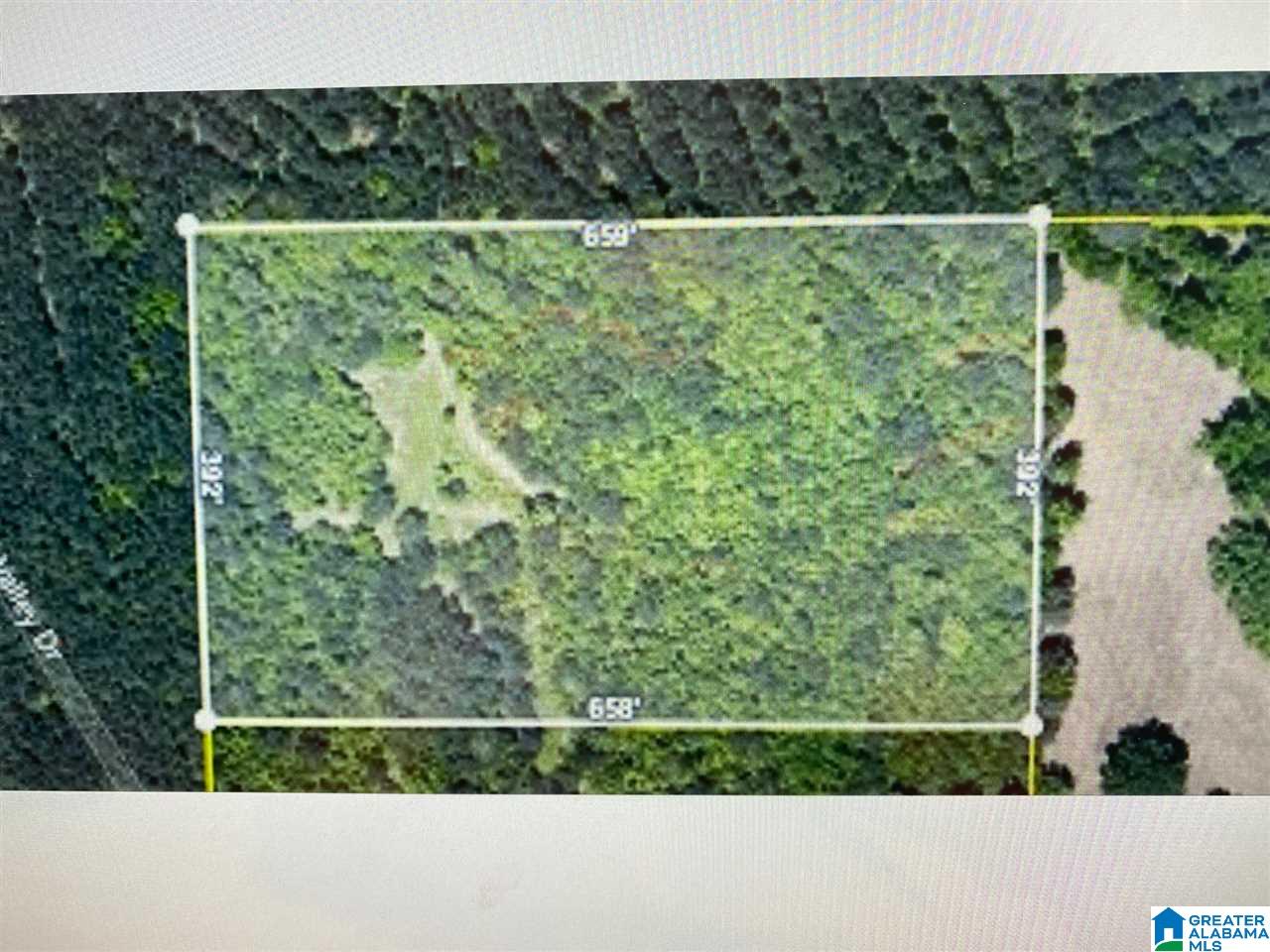 0 Doliska Road Quinton, AL 35130 - Photo 1 of 2