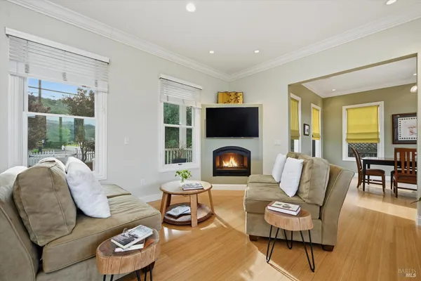 a living room with furniture a fireplace and a floor to ceiling window