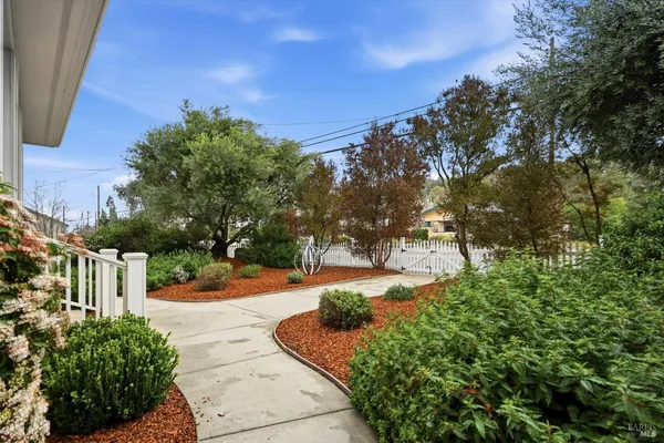a view of a yard with plants and a fountain