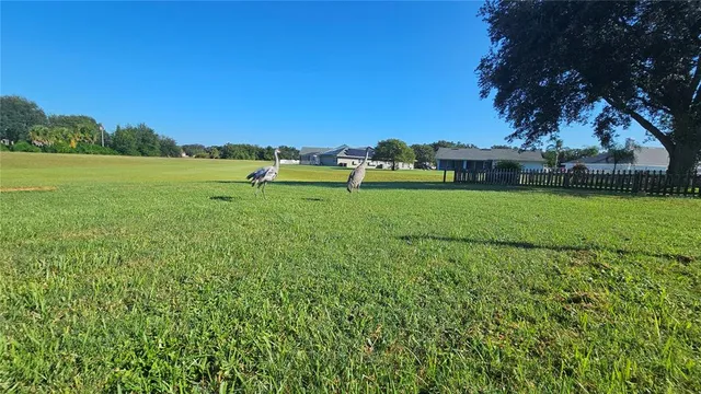 a view of a green field with wooden fence