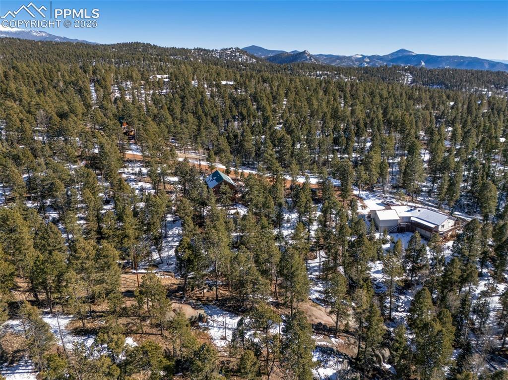 1276 Pinewood Road Florissant, CO 80816 - Photo 29 of 31