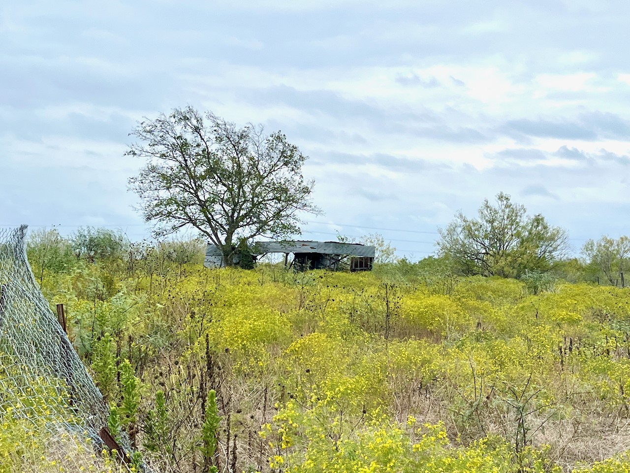 a view of a lake with a big yard