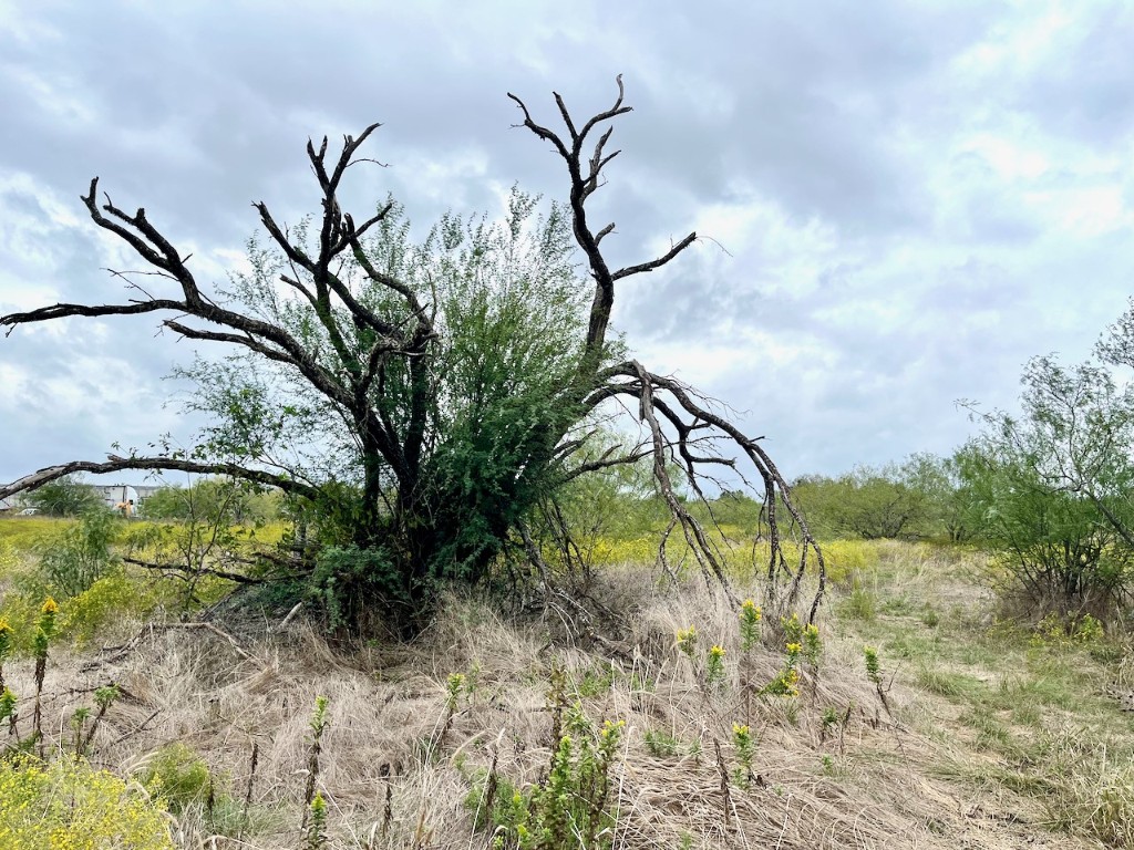 11604 Moore Road Austin, TX 78719 - Photo 14 of 19 a view of swimming pool