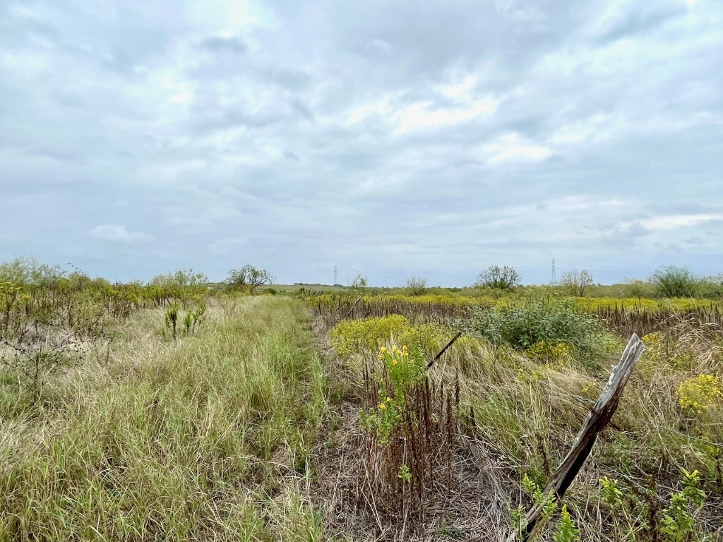 11604 Moore Road Austin, TX 78719 - Photo 15 of 19 a view of a city and mountains
