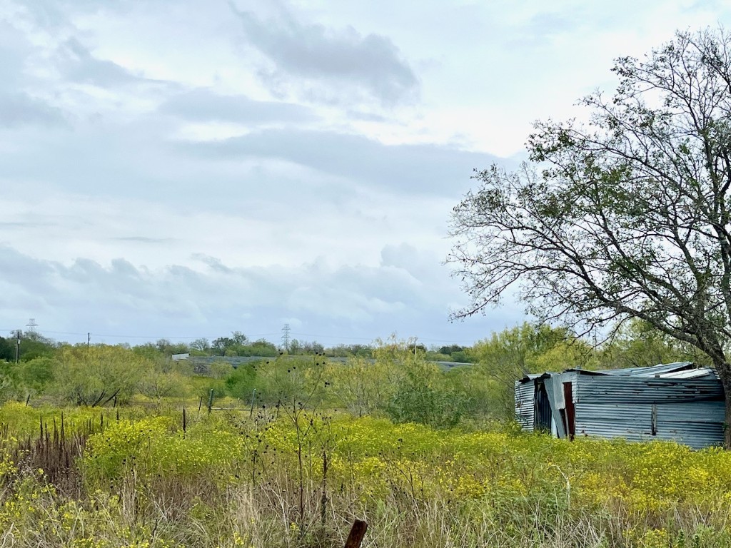 11604 Moore Road Austin, TX 78719 - Photo 16 of 19 a view of a lake with a yard and large trees