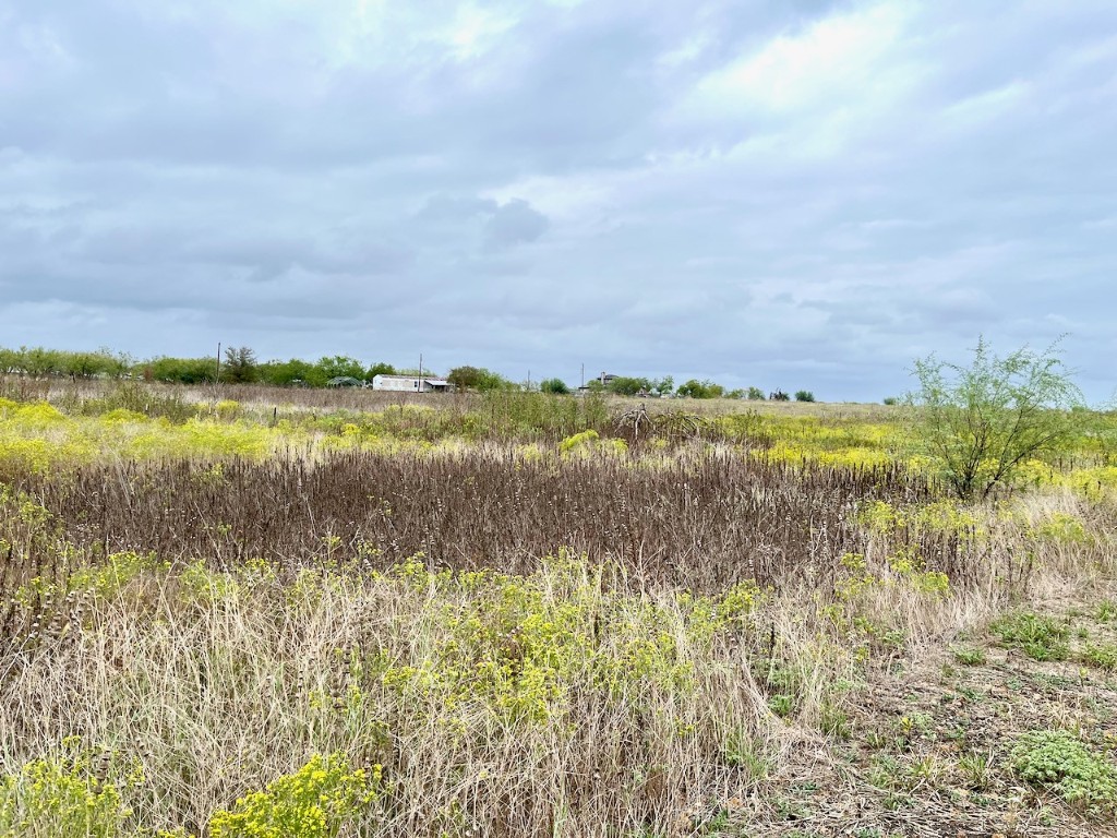 11604 Moore Road Austin, TX 78719 - Photo 2 of 19 a view of a lake and mountain in the back