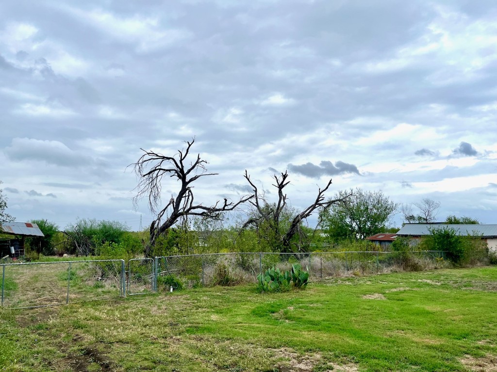 11604 Moore Road Austin, TX 78719 - Photo 7 of 19 a view of a garden