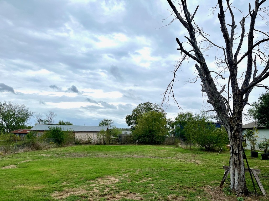 11604 Moore Road Austin, TX 78719 - Photo 8 of 19 a view of a garden