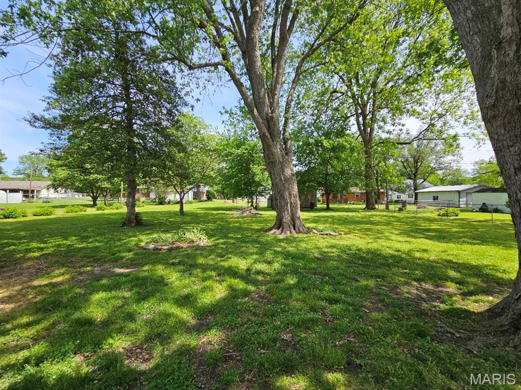 113 Driskell Street Oran, MO 63771 - Photo 14 of 15