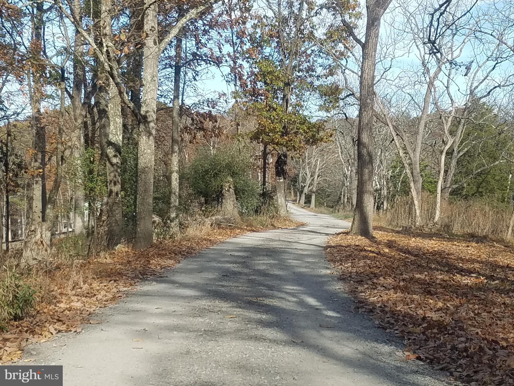 Church Hollow Road Romney, WV 26757 - Photo 14 of 20