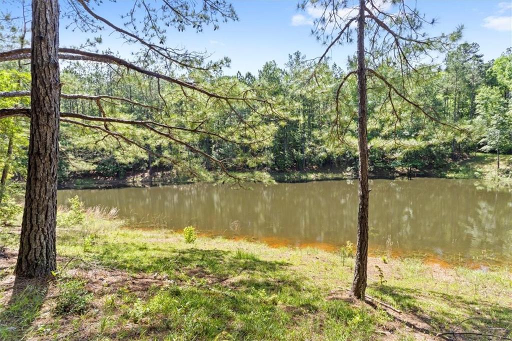 121-122 Cemetery Road Tylertown, MS 39667 - Photo 50 of 58