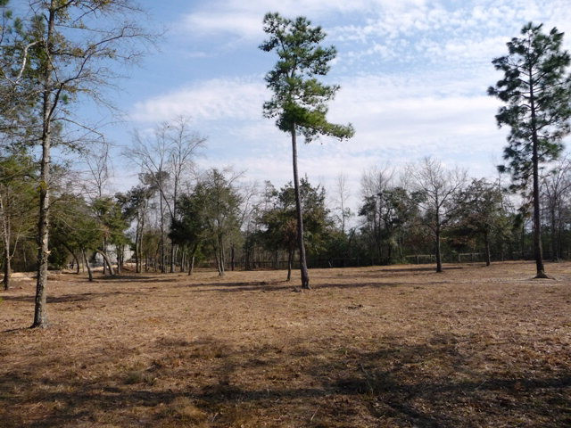 Tract A John Scott Road Aiken, SC 29803 - Photo 1 of 1