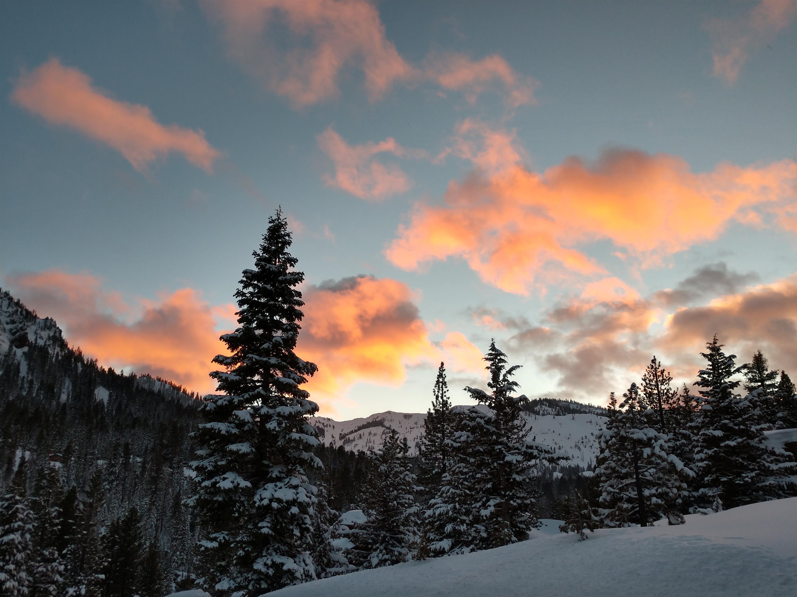 1423 Juniper Mountain Road Alpine Meadows, CA 96146 - Photo 6 of 8 a view of a city