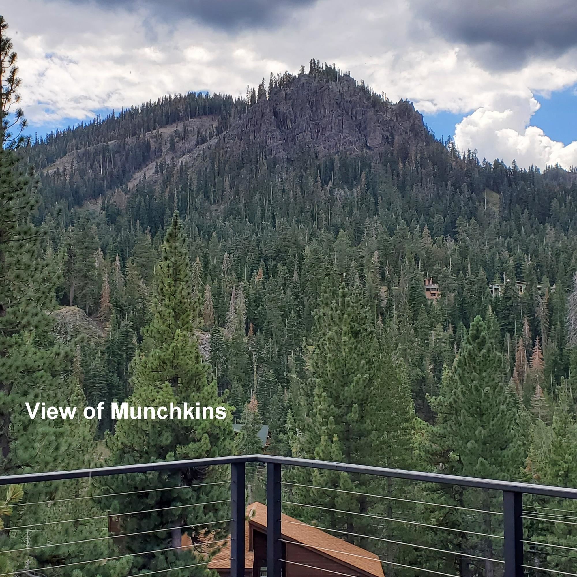 1423 Juniper Mountain Road Alpine Meadows, CA 96146 - Photo 7 of 8 a view of a back yard from a balcony