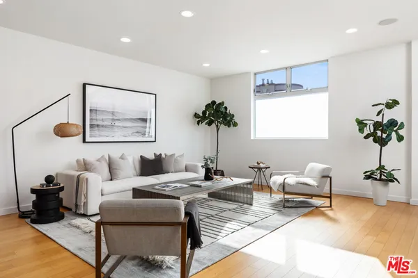 a living room with furniture potted plant and a lamp
