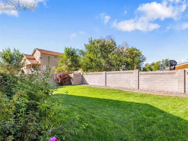 a view of a back yard