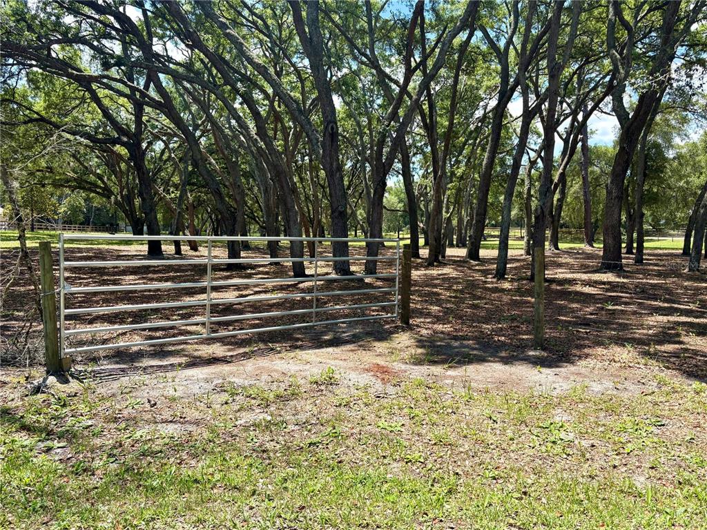 390 Foothill Farms Road Orange City, FL 32763 - Photo 2 of 10