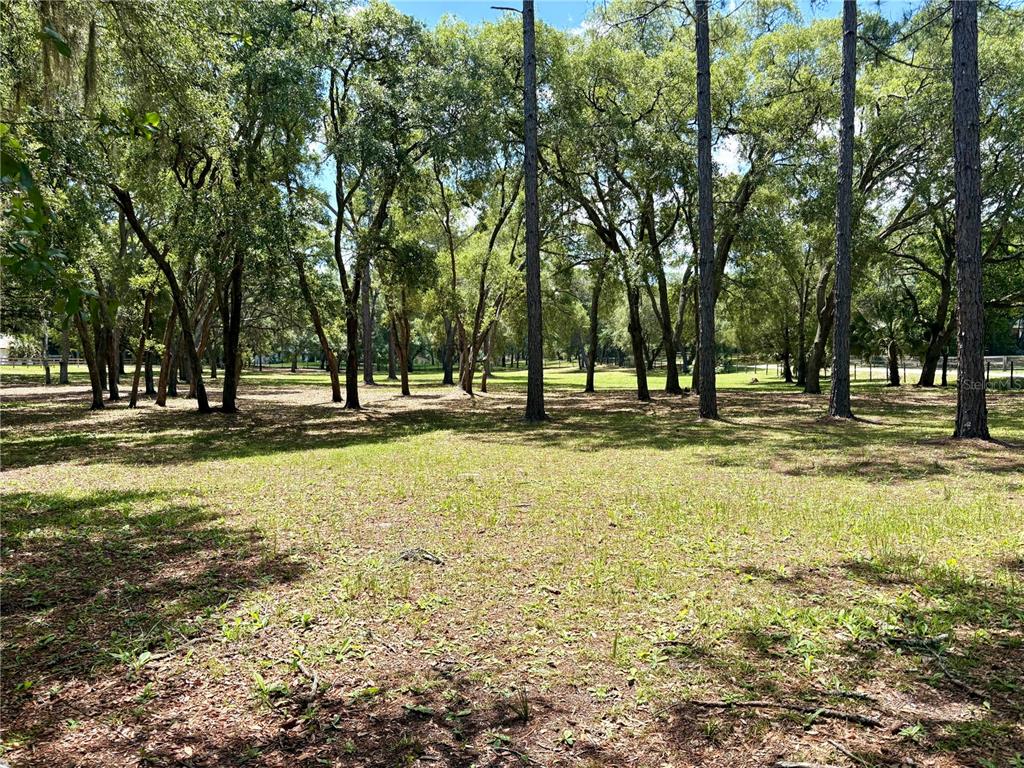 390 Foothill Farms Road Orange City, FL 32763 - Photo 4 of 10