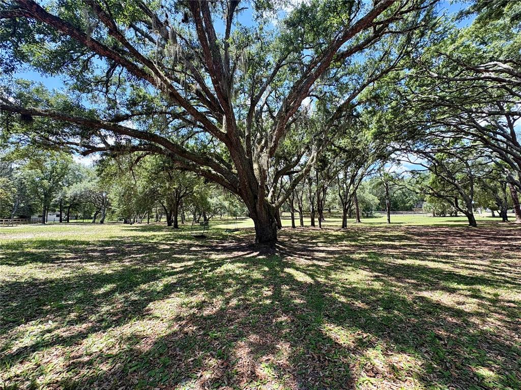 390 Foothill Farms Road Orange City, FL 32763 - Photo 5 of 10