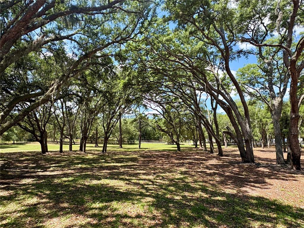 390 Foothill Farms Road Orange City, FL 32763 - Photo 6 of 10