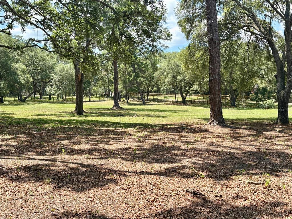 390 Foothill Farms Road Orange City, FL 32763 - Photo 7 of 10