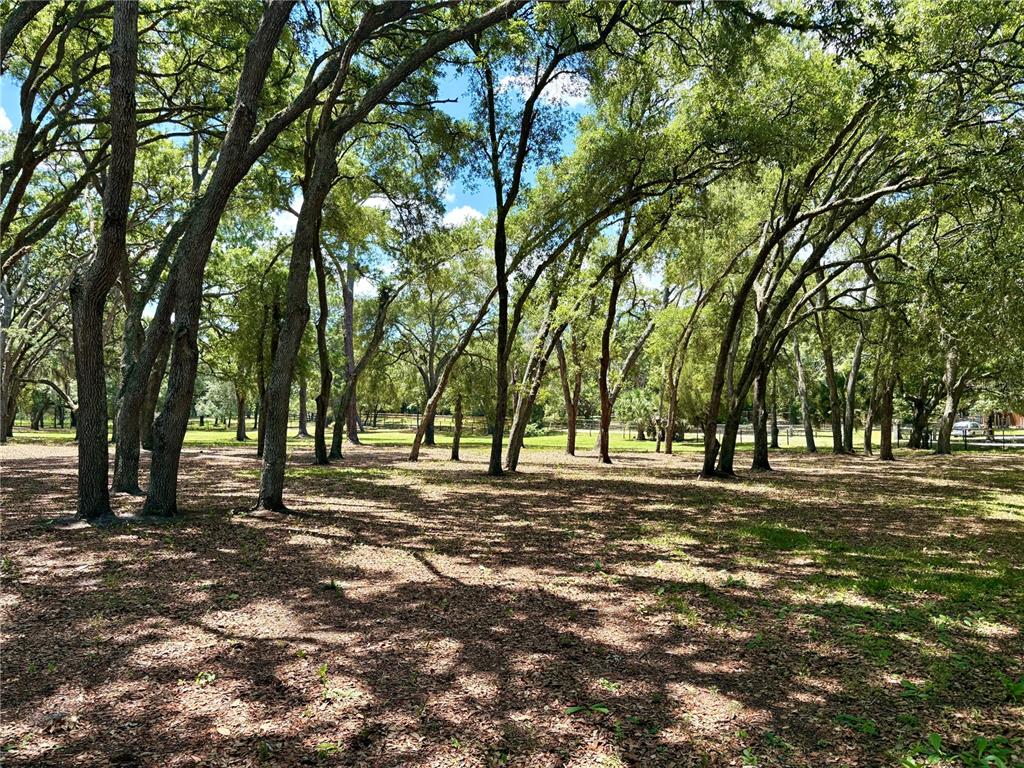 390 Foothill Farms Road Orange City, FL 32763 - Photo 8 of 10