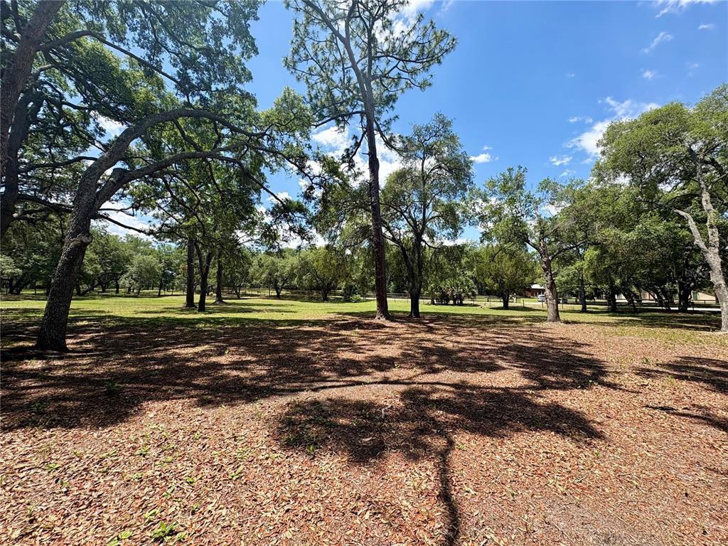 390 Foothill Farms Road Orange City, FL 32763 - Photo 9 of 10