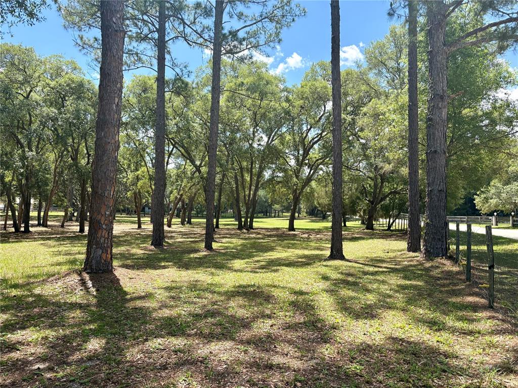 390 Foothill Farms Road Orange City, FL 32763 - Photo 10 of 10