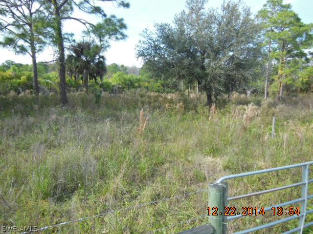 2690 Case Road LaBelle, FL 33935 - Photo 3 of 19 Gallery Image 3