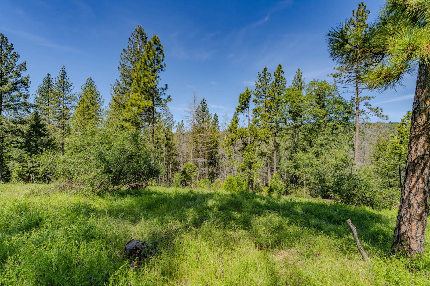 4040 Cedar Creek Road Fiddletown, CA 95629 - Photo 37 of 71