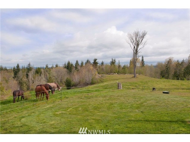 522 Totem Ridge Road Port Hadlock, WA 98339 - Photo 3 of 25