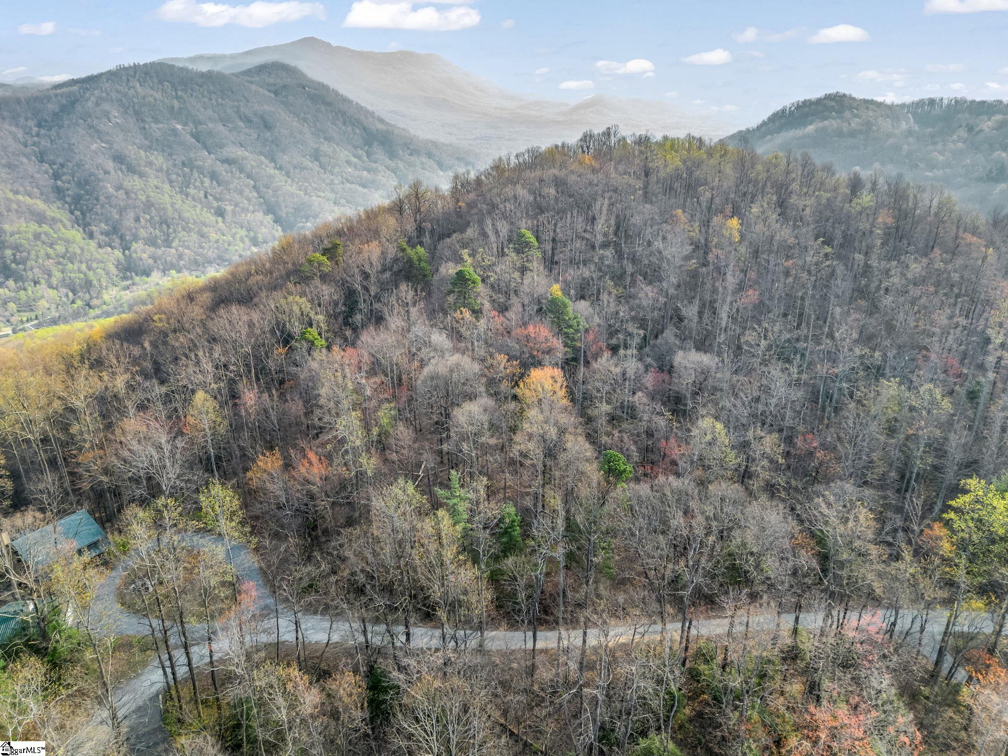 Tbd Mountain Lakes Drive Tryon, NC 28782 - Photo 14 of 15